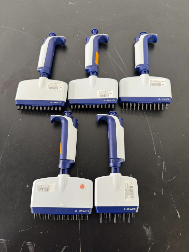 Image of Rainin Pipet-Lite XLS Multichannel Pipettes - Quantity 5